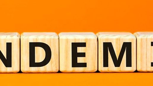 Has the Pandemic Become Endemic?
