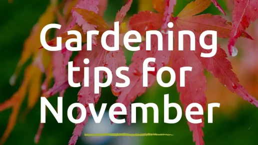 This Month To-Do List