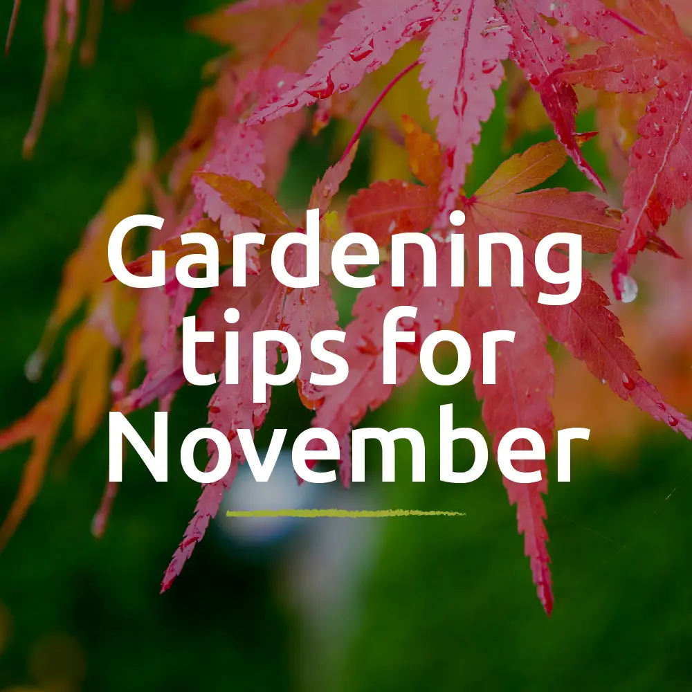 This Month To-Do List