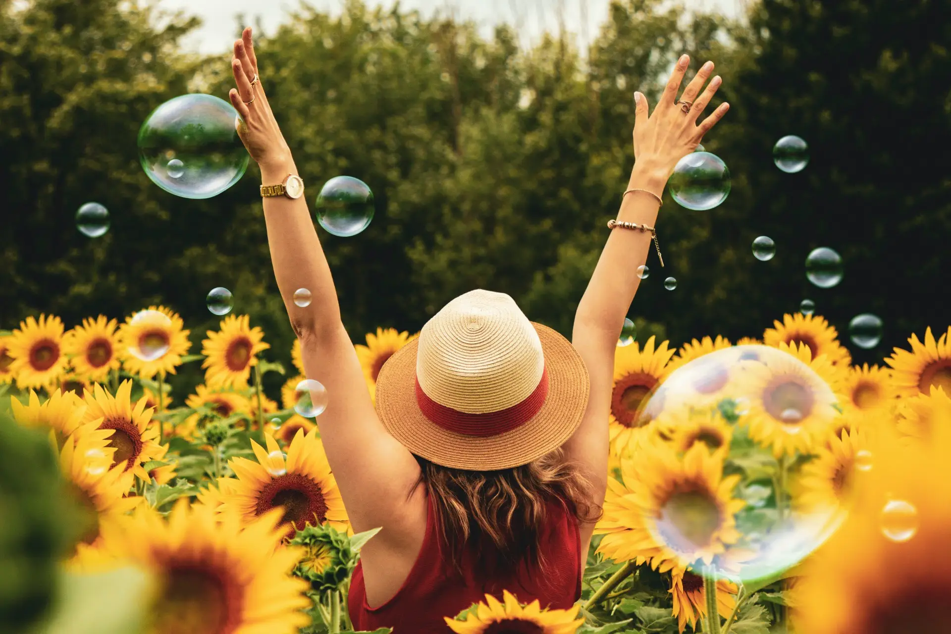 Stop Nurturing Negativity