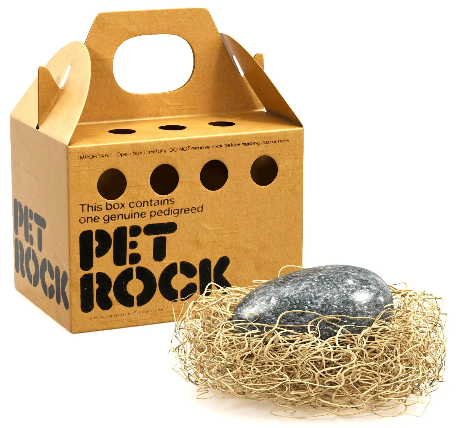 What the World Needs Now is the Pet Rock