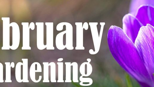 Prepare for Growing Season