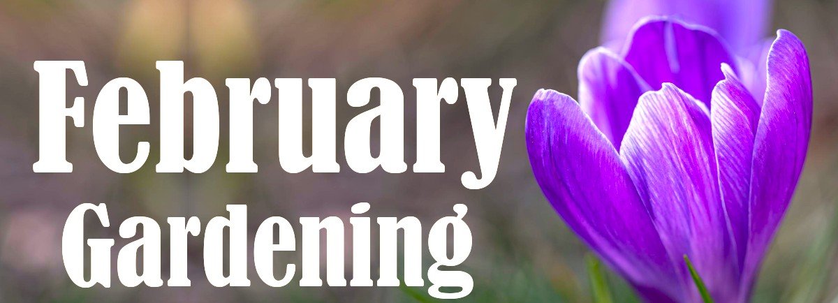Prepare for Growing Season