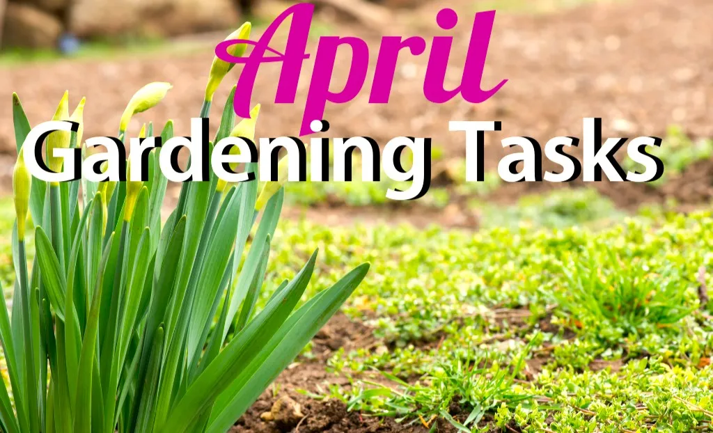Now’s the Month